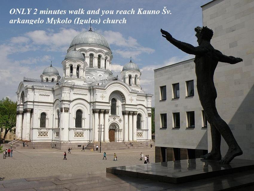 Apartamentai Kauno Centre Kaunas Exteriér fotografie
